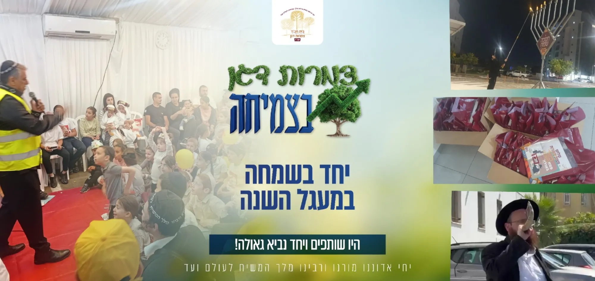 צמרות דגן בצמיחה - תמונה 1